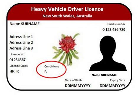 transfer interstate driver's license nsw.